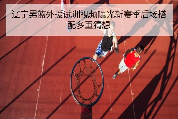 辽宁男篮外援试训视频曝光新赛季后场搭配多重猜想 - TianXing Sports